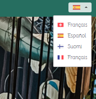 1.8.5_choix_langues_module.PNG